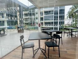 The Gazania (D19), Condominium #483544411